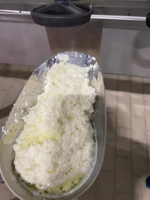 сыр мягкий Рикотта 80р/кг с НДС в Смоленске
